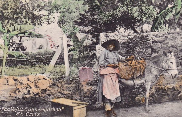 Kvinde paa vej til sukkermarken p   St Croix
