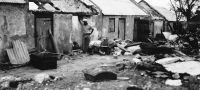 St Croix efter orkanen 13 september 1928 DVS 0078