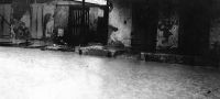 St Croix efter orkanen 13 september 1928 DVS 0081