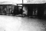 Orkanen 1928 St Croix efter orkanen 13 september 1928 DVS 0081