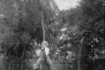 Kvinde til hest i plantage