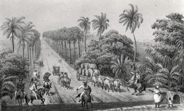 St. Croix   Centerline 1862
