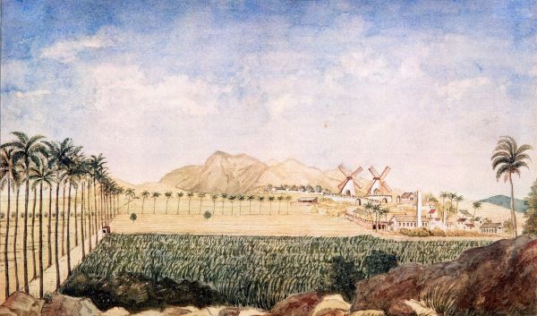 St Croix   Plantage paa St Croix ca 1850